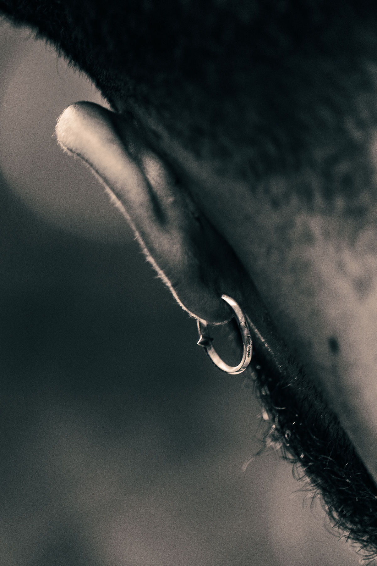 Loading... just a sec